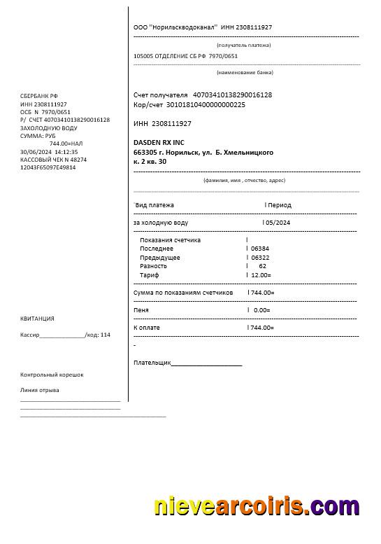 Russia water business utility billս